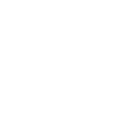 School of Commerce & Management